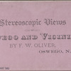 View of Oswego, New York.
