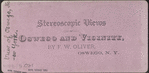 View of Oswego, New York.