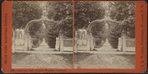 Gateway and Avenue, Warsaw Cemetery.