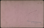 View of a Church, Lockport, N.Y.