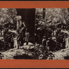 Group of people in Rock City.
