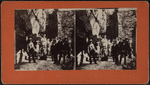 Group of people in Rock City.