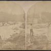 Lower Glenerie Falls, Saugerties, N.Y.
