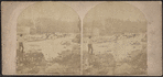 Lower Glenerie Falls, Saugerties, N.Y.