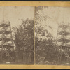 Viewing Tower, Saugerties, N..