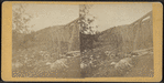 Section of Trestle Bridge on the New York, Boston & Montreal  Railway, at East Tarry Town, N.Y.