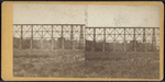 Section of Trestle Bridge on the New York, Boston & Montreal  Railway, at East Tarry Town, N.Y.