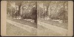 View in Katanoh, N.Y.