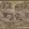 Camp life, Lower Ausable [Au Sable] Pond, Sept. 8th, 1876.