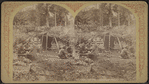 Camp life, Lower Ausable [Au Sable] Pond, Sept. 8th, 1876.