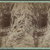 Walled Banks of the Ausable [Au Sable].