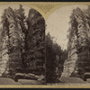 The Sentinel from Table Rock, Ausable [Au Sable] Chasm.
