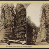 New York State. View in Ausable [Au Sable] Chasm.