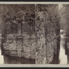 Near the lower end of the Big Chasm of the Au Sable, looking up-stream.