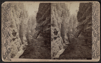 Below Post Office, looking up, Ausable Chasm.