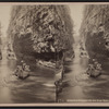 Ausable Chasm. In the Boat Ride.