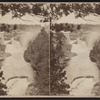 Birmingham and Horseshoe Falls.