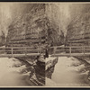 Ausable Chasm. The bridge at Table Rock.