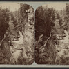 View in Au Sable Chasm.