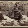 View in Au Sable Chasm.