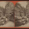 Looking down the Chasm from "Devil's Oven", Ausable Chasm, N.Y.