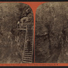 Looking up the Chasm from cliff opposite Table Rock, Ausable Chasm, N.Y.