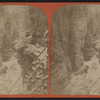 View in Au Sable Chasm.
