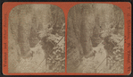 View in Au Sable Chasm.