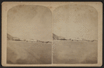 Dwight Park, Binghamton, N.Y.
