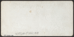 Buffalo harbor. [Boat and ice in water.]