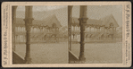 Parade house and grove, Buffalo, N.Y.