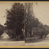 Mill Street, Cazenovia, N.Y.