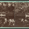 Outlet of the lake, Ten Eycks Grounds.