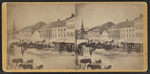 Albany Street, winter view.