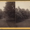 Hamilton College campus view no. 2.