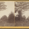 Hamilton College Campus view no. 3