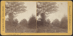Hamilton College Campus view no. 3
