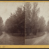 Hamilton College campus view no. 4.