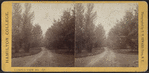 Hamilton College campus view no. 4.