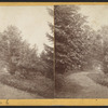 Hamilton College campus view no. 6.