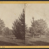 Hamilton College campus view no. 10.