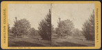 Hamilton College campus view no. 10.