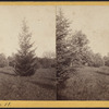 Hamilton College campus view no. 11.