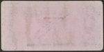 View in grounds of Houghton Female Seminary, Clinton, N.Y.