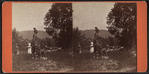 Bronze figure of an Indian and his dog, Eldridge Park, Elmira, N.Y.