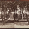 View of a preaching stand and benches, Eldridge Park, Elmira, N.Y.