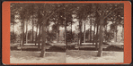 View of a preaching stand and benches, Eldridge Park, Elmira, N.Y.