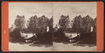 Pond, Eldridge Park, Elmira, N.Y.