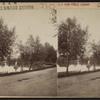 Eagle at park [recto]; Beauties of Eldridge Park [verso].