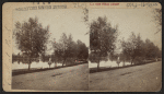Eagle at park [recto]; Beauties of Eldridge Park [verso].